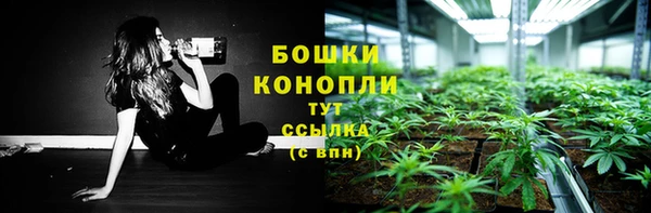 дурь Магас