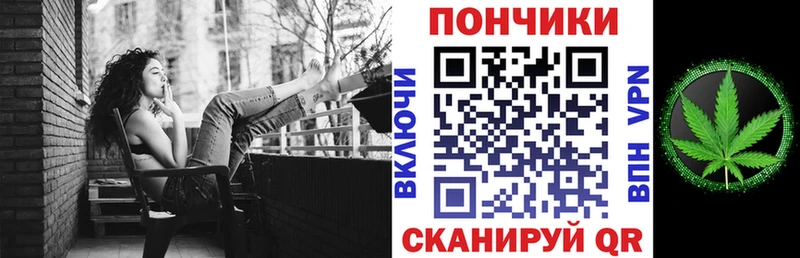 KRAKEN как войти  Каргополь  Бошки марихуана VHQ 